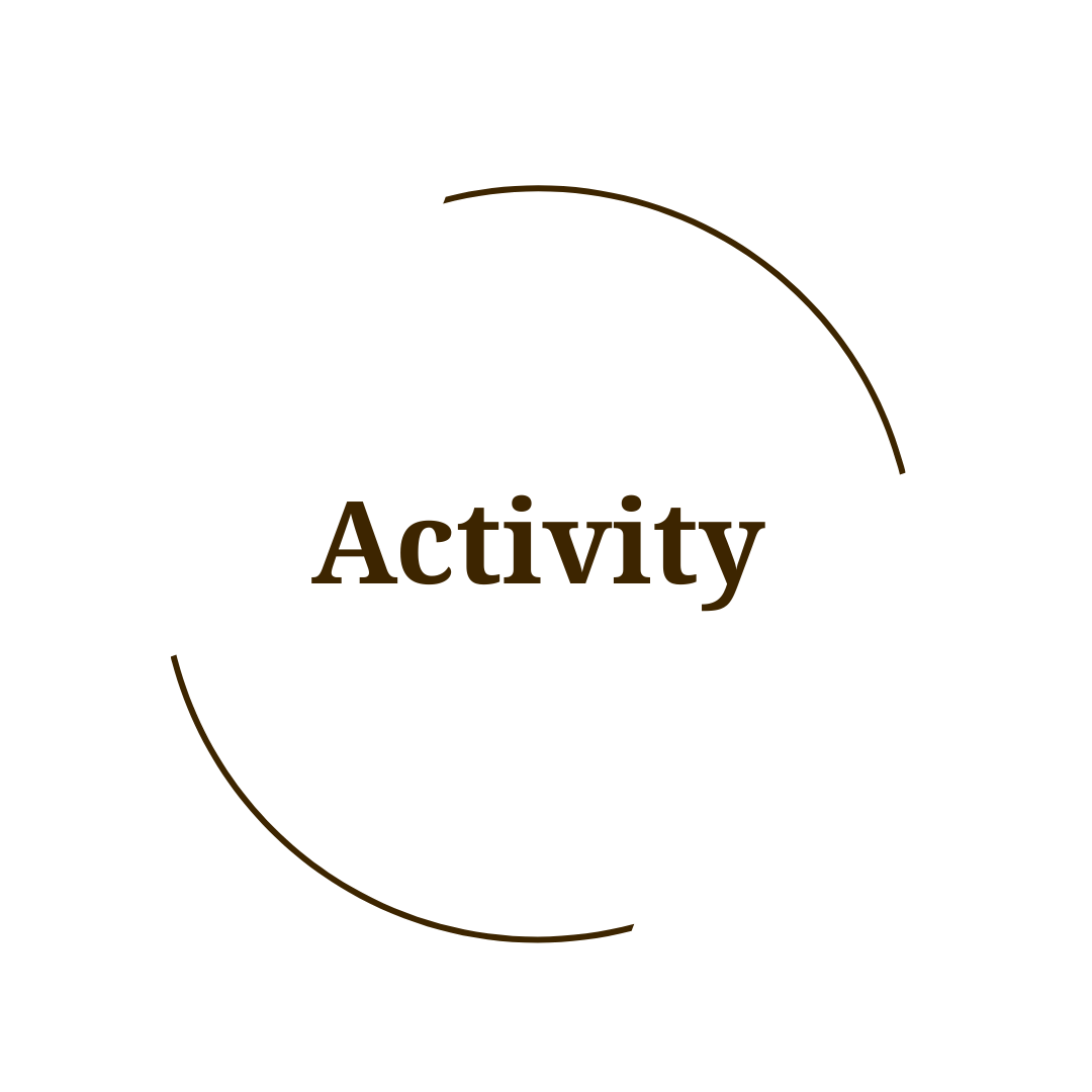 Activity Guide