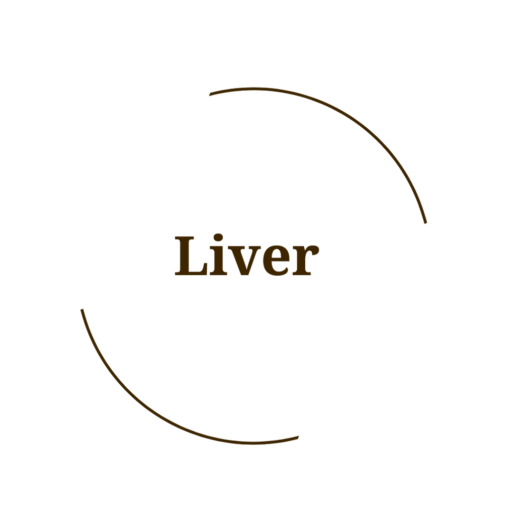 Liver Support