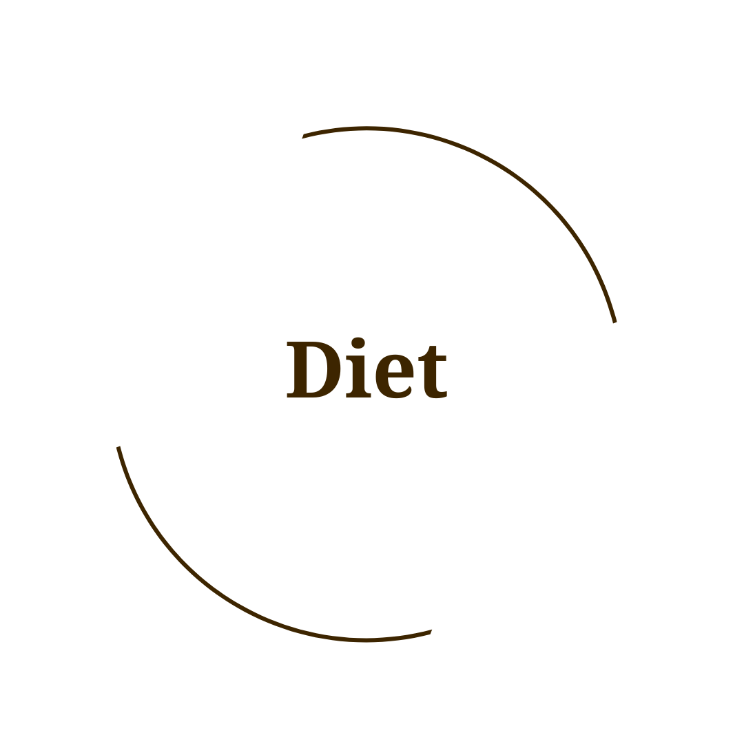 Diet Check
