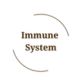 Immune System