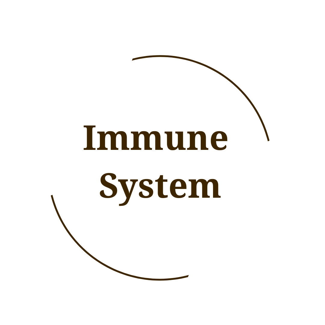 Immune System
