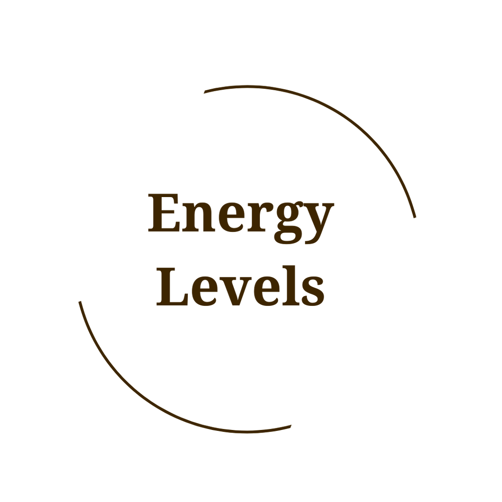 Improve Your Energy Levels