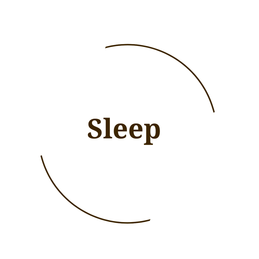 Sleep / Circadian Rhythm