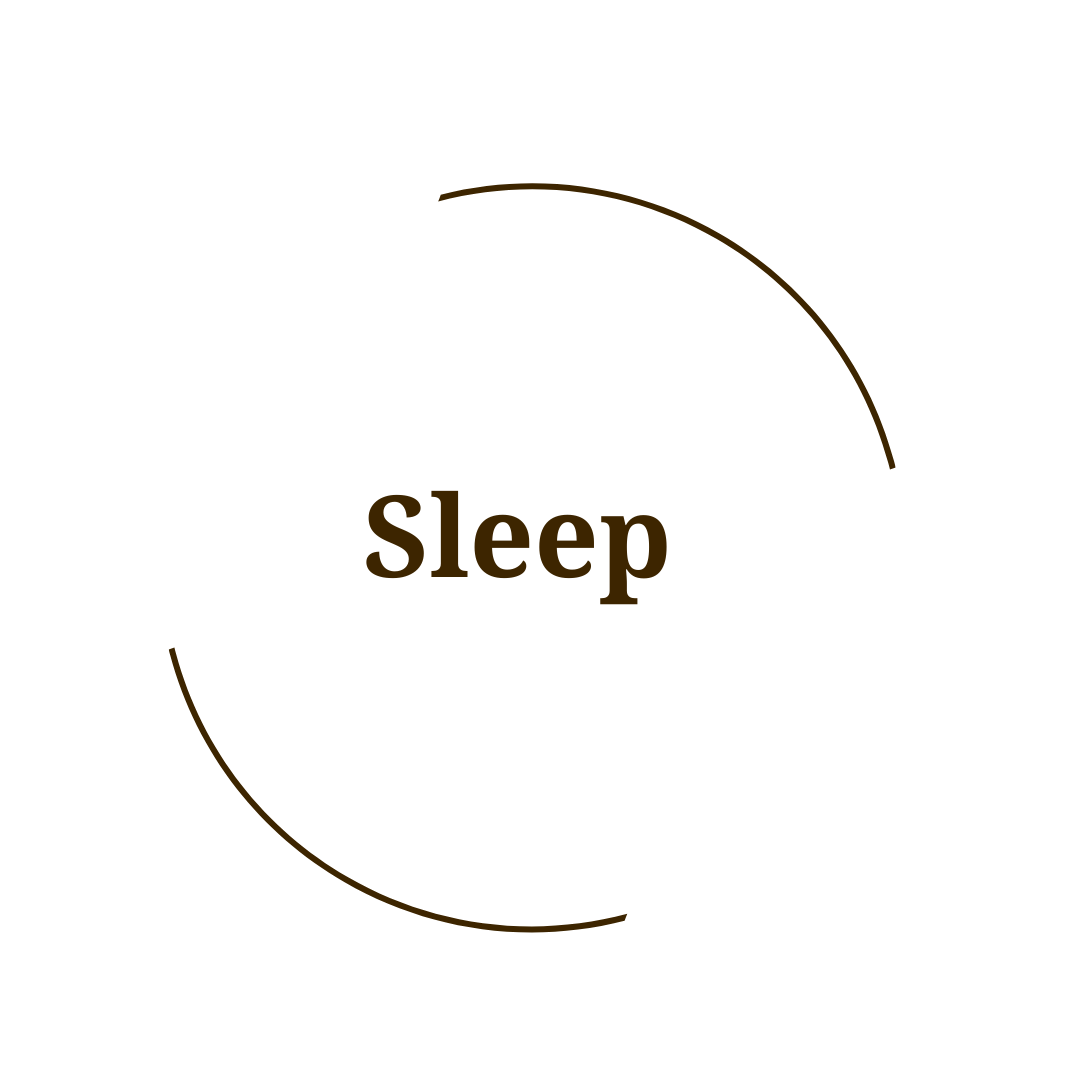 Sleep / Circadian Rhythm